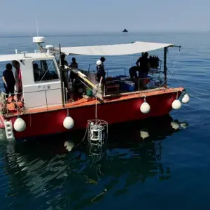 Europe’s Ocean Brain: A Digital Twin for a Sustainable Blue Future